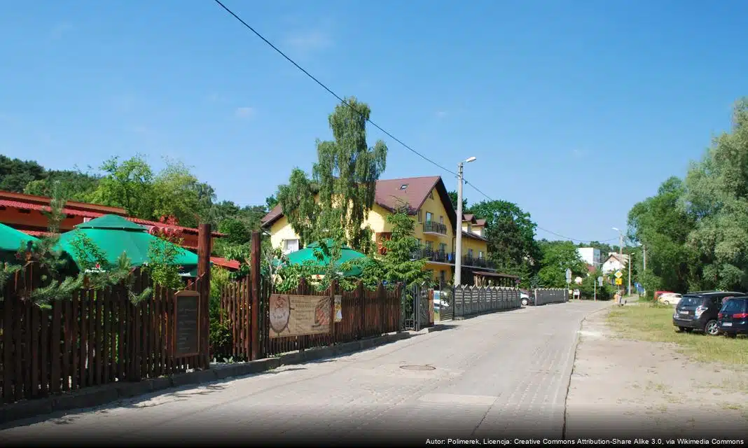 Sukces Mai Wiśniewskiej na Pucharze Świata w Pole Dance