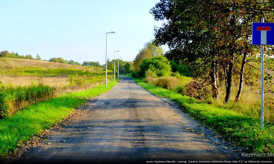 Nowa publikacja historyczna z okazji 75-lecia Myszkowa